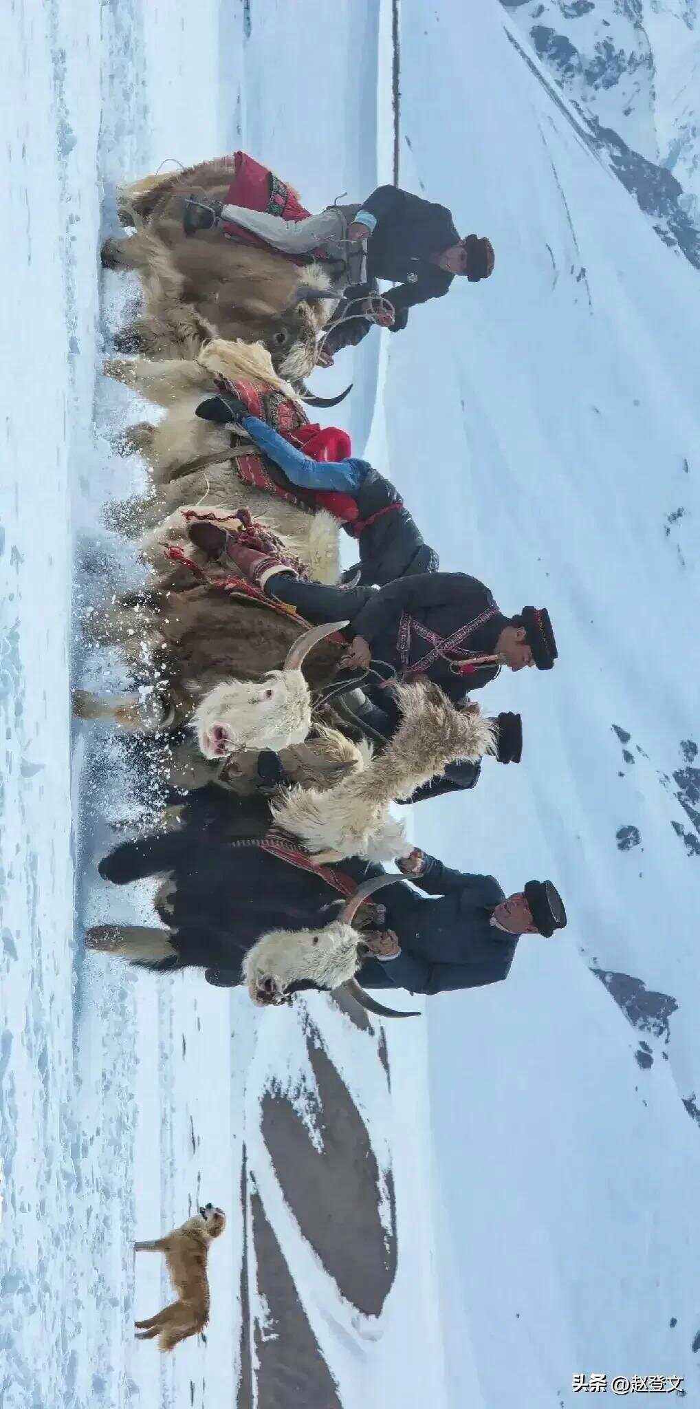 爱游戏电竞-反败为胜首场状态出色，尤文图斯观众沸腾！，科维托娃重返赛场观众掌声雷动的简单介绍
