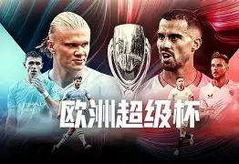 爱游戏体育平台-欧超杯2024